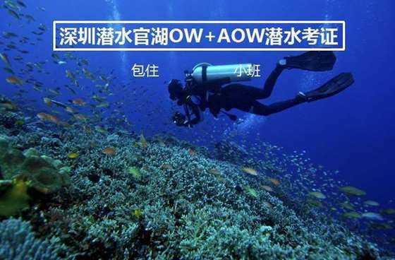 《县委大院》看懂梅晓歌对郭厅长卑微,才明白他为何对李保平强硬
